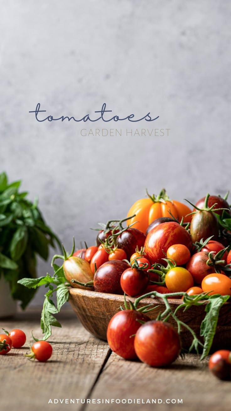 Greenhouse Gems: Crisp Salad Selections