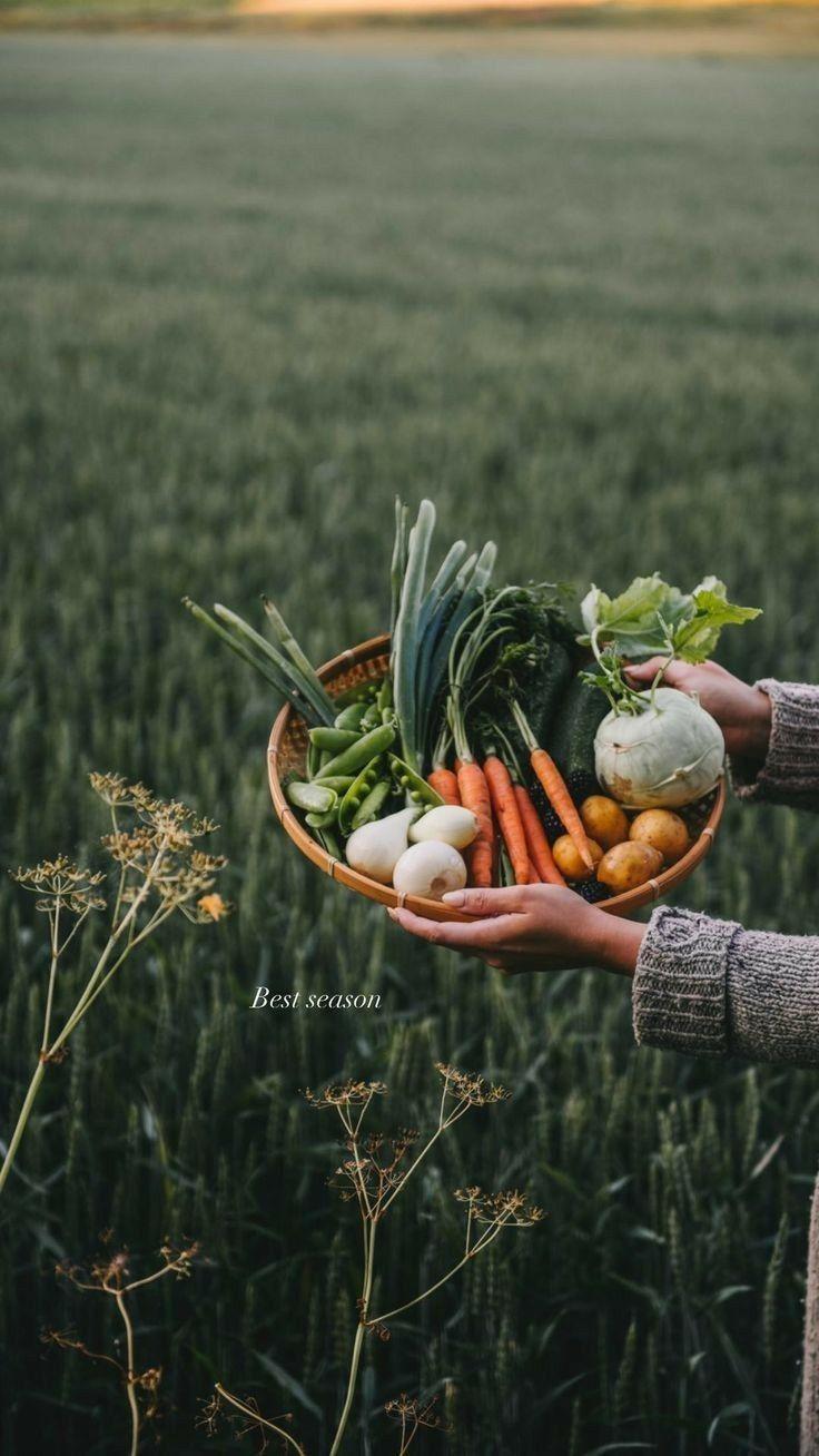 Garden Bounty: Fresh-Picked Veggie Medley
